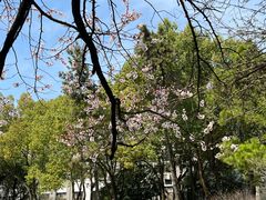 -南京航空航天大学(明故宫校区)