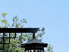 -南京民俗博物馆(甘熙故居)