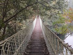 -宁海安岚·南溪阁全日餐厅