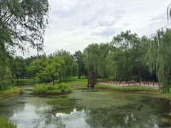 -北坞公园
