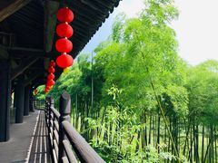 -大唐贡茶院