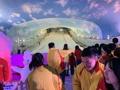 -世界之窗阿尔卑斯冰雪世界