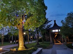 -东园小馆·早茶·淮扬小炒(宋夹城店)