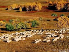 -塞罕坝国家级自然保护区