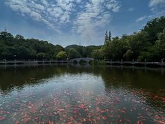 -大连植物园