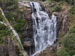 -海南热带雨林国家公园吊罗山景区