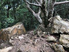 -梧桐山风景名胜区