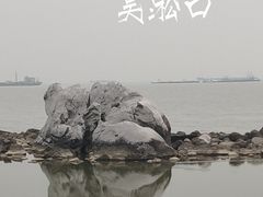 -上海吴淞炮台湾国家湿地公园