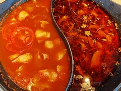 红汤梭边鱼锅-新辣道鱼火锅(西直门店)