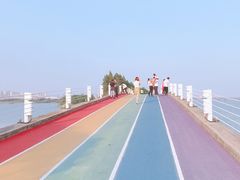 -贡湖湾湿地公园