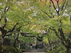 -常寂光寺