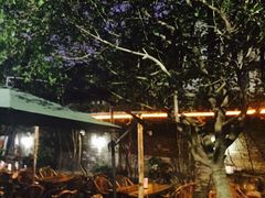 iphone_upload_pic-见山书院