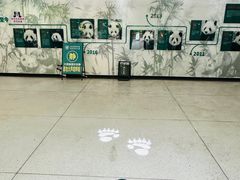 -杭州动物园