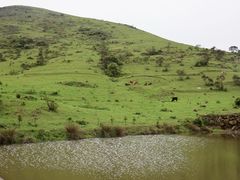 -大姆山草场