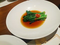 -觀芷隐轩