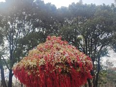 -狼山风景名胜区