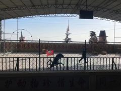 -东方熊牧场