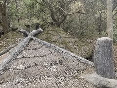-石台牯牛降景区