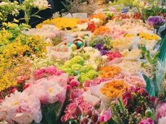 -朝来春花卉市场