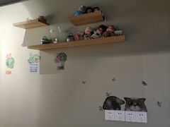 -东方名猫馆·英短金渐层布偶猫舍(环线广场1号楼店)