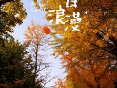 -陶然亭公园
