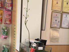 -瑞派·关忠动物医院·猫专科·犬专科(三环新城店)