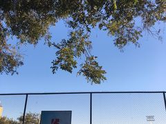 -中国人民大学游泳馆