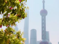 -北外滩滨江绿地