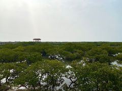 -北海金海湾红树林生态旅游区