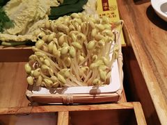 -巴奴毛肚火锅(六天地店)