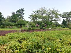 -白沙门生态公园