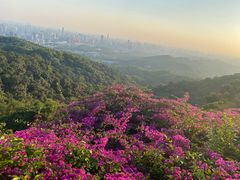 -广州市白云山风景名胜区