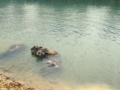 -杭州双溪漂流景区