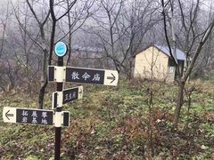 -太平万花山景区