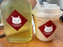 -有猫主题·治愈系猫咖(曾厝垵店)