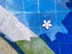 -上海嘉里健身Kerry Sports Shanghai