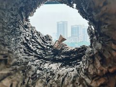 -上海当代艺术博物馆