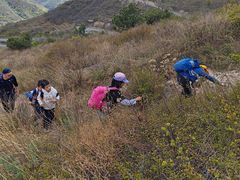 -阳台山自然风景区