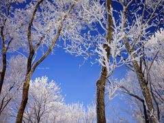-中旅松花湖滑雪场