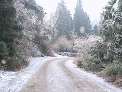 -四明山国家森林公园