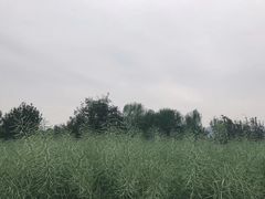 -驿舍·民國老营房院子私房菜(科学会堂店)