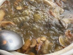 -蘑统田下·野生菌火锅