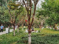-绵阳人民公园(涪城区)
