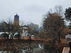 -长兴太湖图影湿地文化园