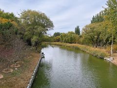 -大兴滨河森林公园