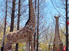 -大连森林动物园