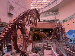 -陕西自然博物馆