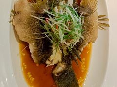 -望乡楼上海菜(日月光店)