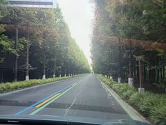 -黄海国家森林公园