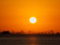 -上海吴淞炮台湾国家湿地公园